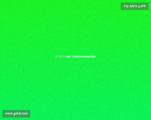 2018FIFA世界杯TM核心视角下的赛事回顾与战术解析研究